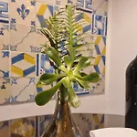 Pedra Natural Country house *