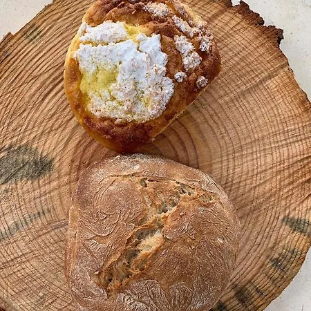 Séjour à la campagne Pedra Natural Alvorge