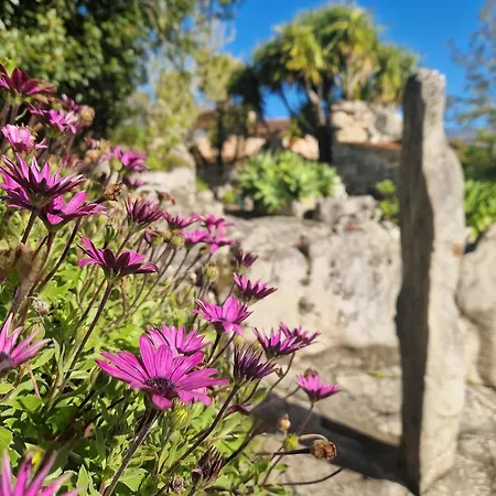Casa rural Pedra Natural Alvorge