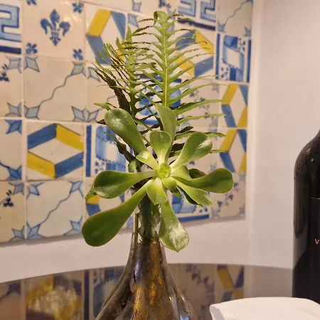 Pedra Natural Casa di campagna *