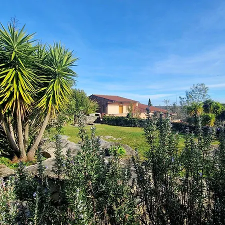 Pedra Natural * Alvorge