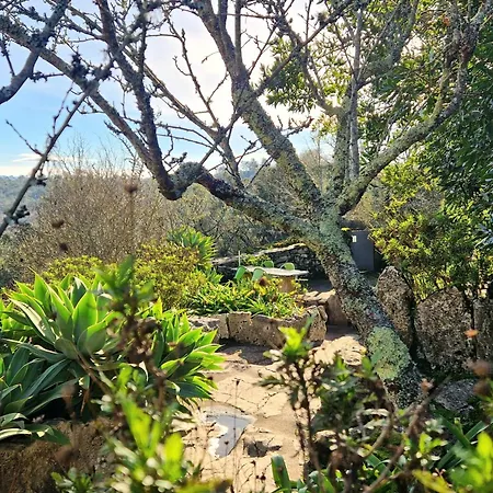 Casa di campagna Pedra Natural *