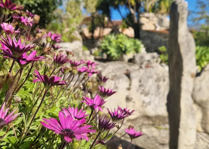 בית כפרי Pedra Natural Alvorge